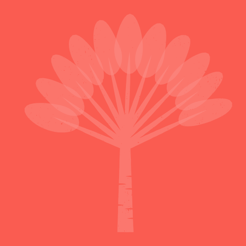 arbre du voyageur CASABABA Martinique